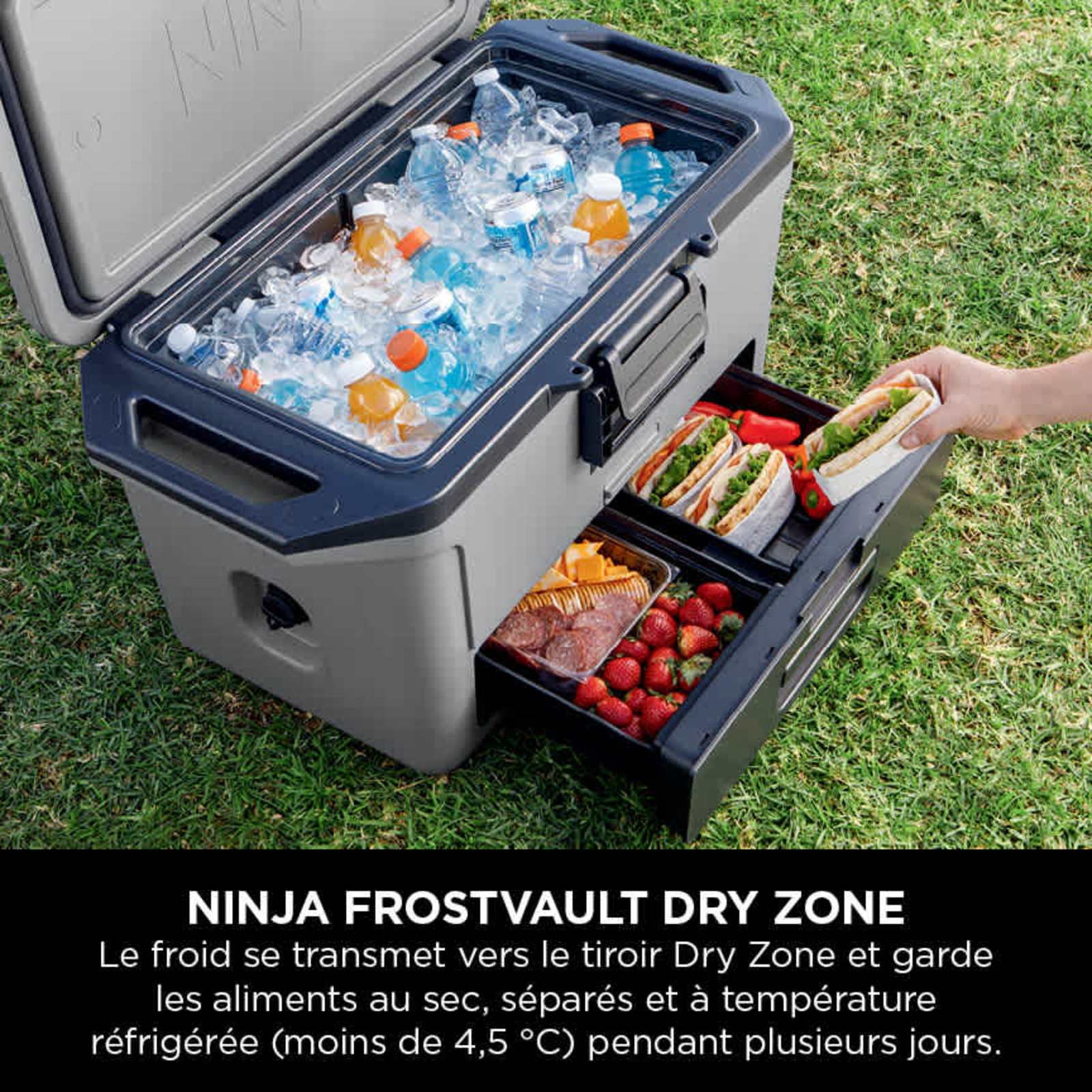 Ninja FrostVault kølerboks 47 L - billede 5